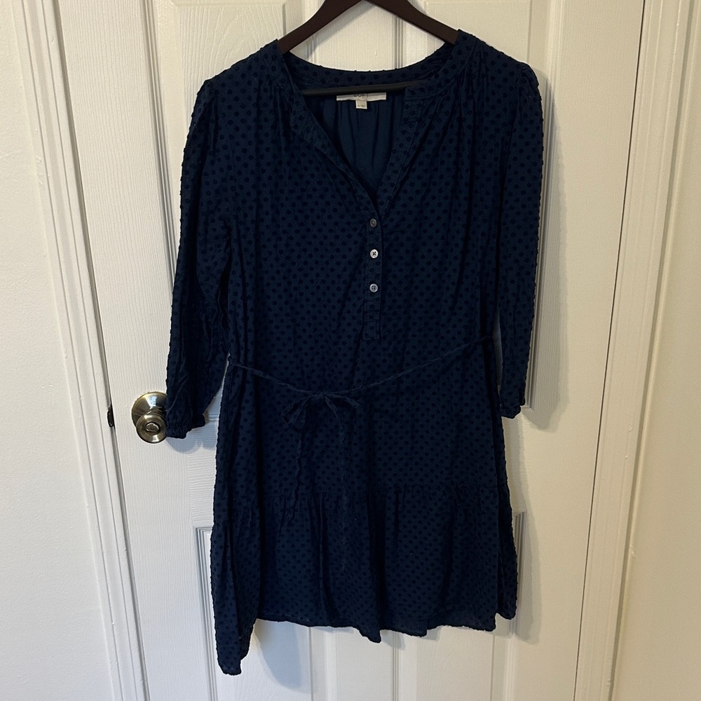 LOFT Midnight Blue Dress